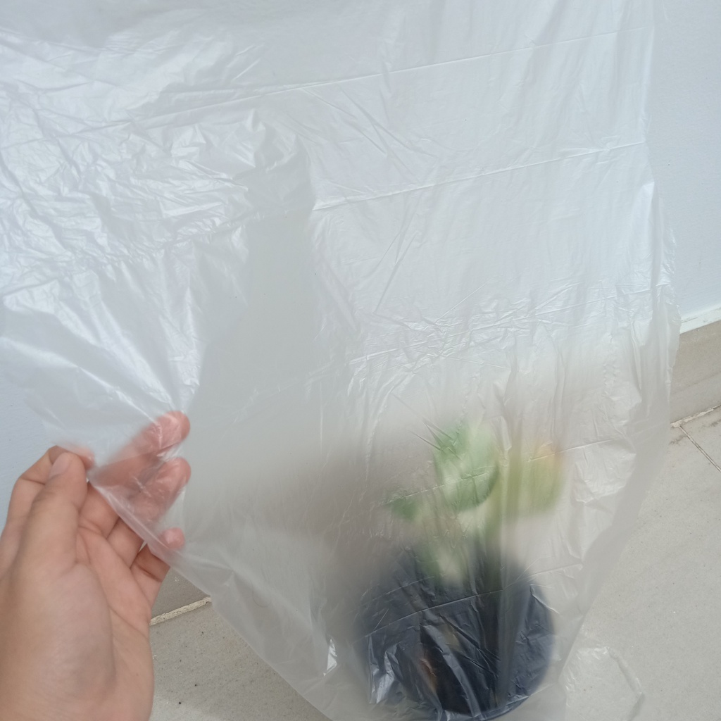 Màn che sơn, Băng keo Nilon Ni lông che sơn Washi Masker