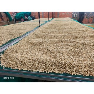 CÀ PHÊ TRUYỀN THỐNG - 250g