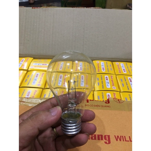 Bóng Đèn Sợi Đốt ĐIỆN QUANG 60W Áng sáng Vàng Ấm Cúng để Úm Gà Vịt. Hakhanhelec