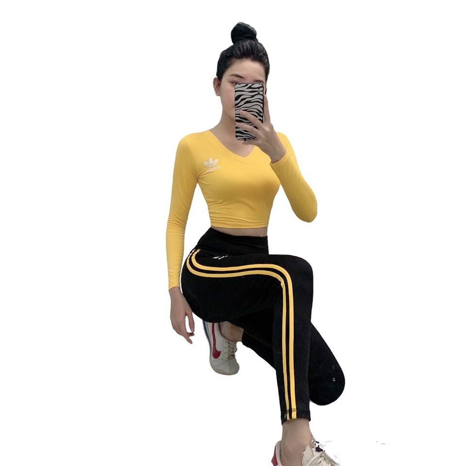 Đồ tập gym yoga thể thao nữ, set bộ áo crop dài tay quần dài phối sọc nhiều màu Bin Sports BD180