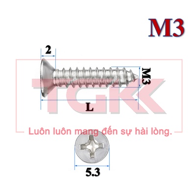 Vít bắt gỗ inox 201 đầu bằng M3 (Túi 10)