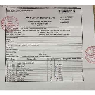 Áo ngực Triumph D179 WHP