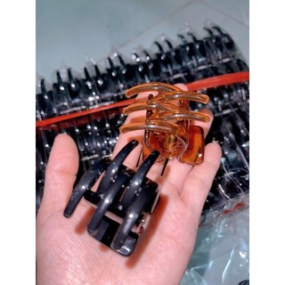 VỈ 12 KẸP CÀNG CUA