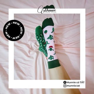 Tất cổ cao - Vớ 1 đôi 2 chiếc khác nhau - Mismatched socks - Hoạ tiết cây Xương Rồng