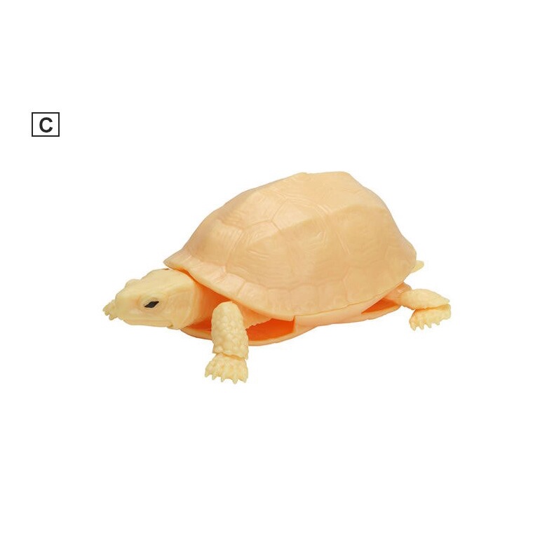 Mô hình trứng Gashapon rùa cạn - rùa biển - BANDAI