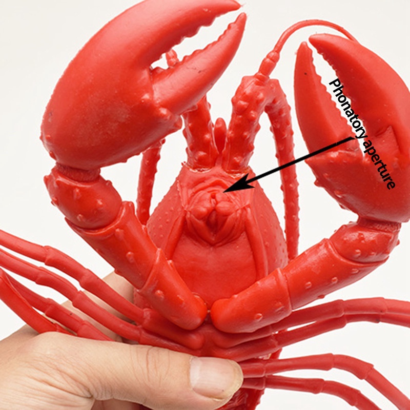 Đồ Chơi Mô Hình Cua Biển Bằng Cao Su Mềm Cho Bé