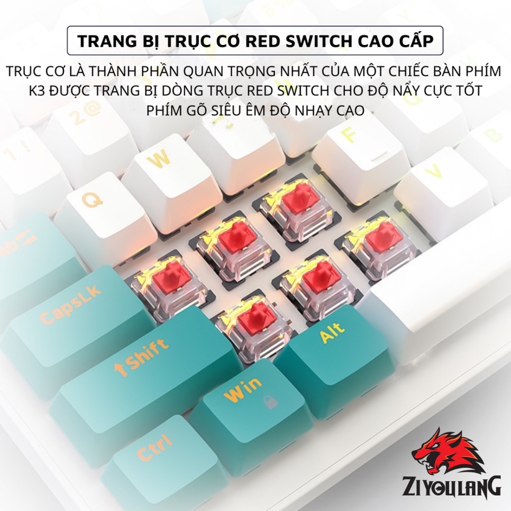 Bàn Phím Cơ Game ZiyouLang K3 LED Đổi Màu Gaming Có Dây, Trục Cơ Red Switch, Gõ Êm