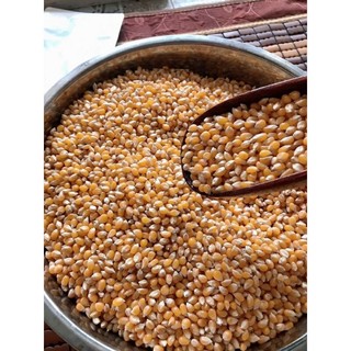 (Mã NSF02P125 giảm 25K) Ngô Mĩ Nổ Bắp Rang Bơ