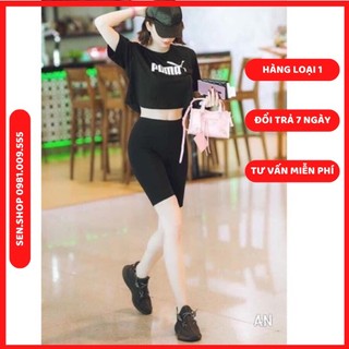 Quần Legging Ngố Đùi - Quần Lửng Nữ cuộn tím Siêu Hot mã 003