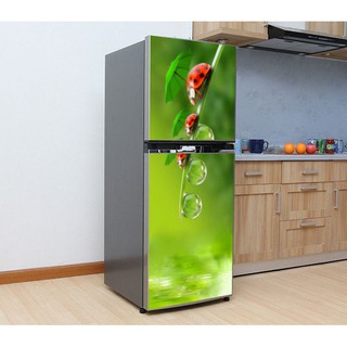 DECAL DÁN TRANG TRÍ TỦ LẠNH BỌ ĐỎ