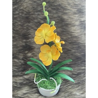 Chậu hoa Lan Vanda đất sét cành ngắn
