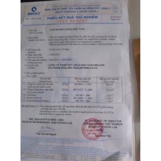 SÂM BỔ KIỆN THẢO MỘC NAM