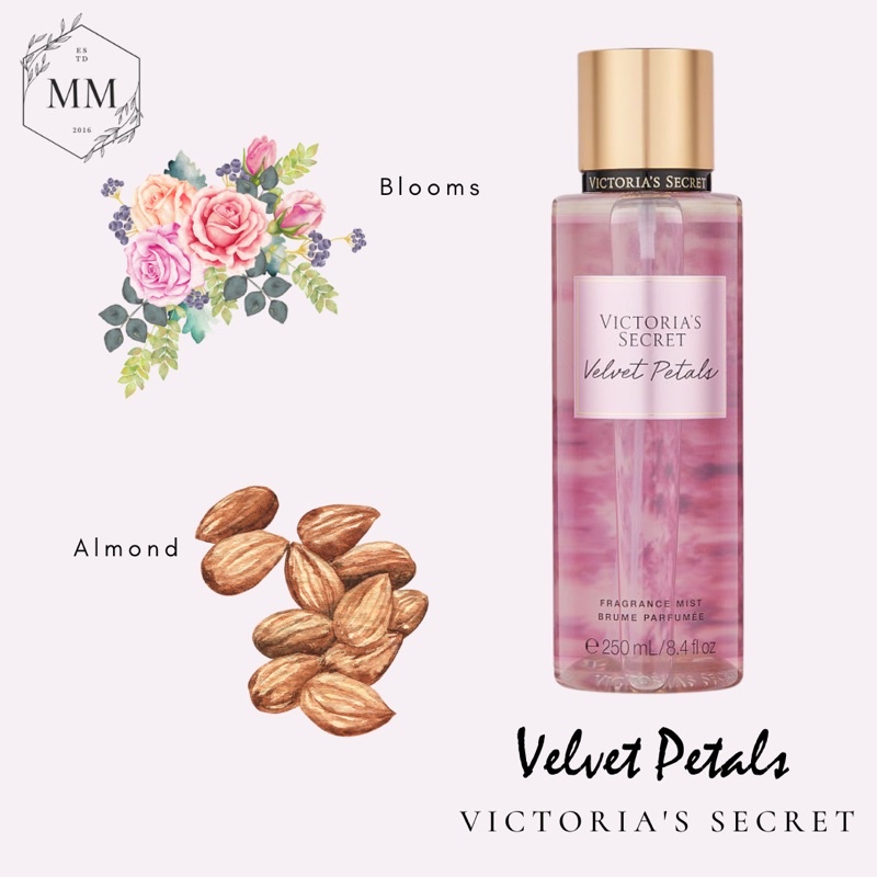 - Bộ sản phẩm Xịt Thơm Toàn Thân Victoria’s Secret Body Mist Dưỡng Thể Lotion mùi Velvet Petals 250ml