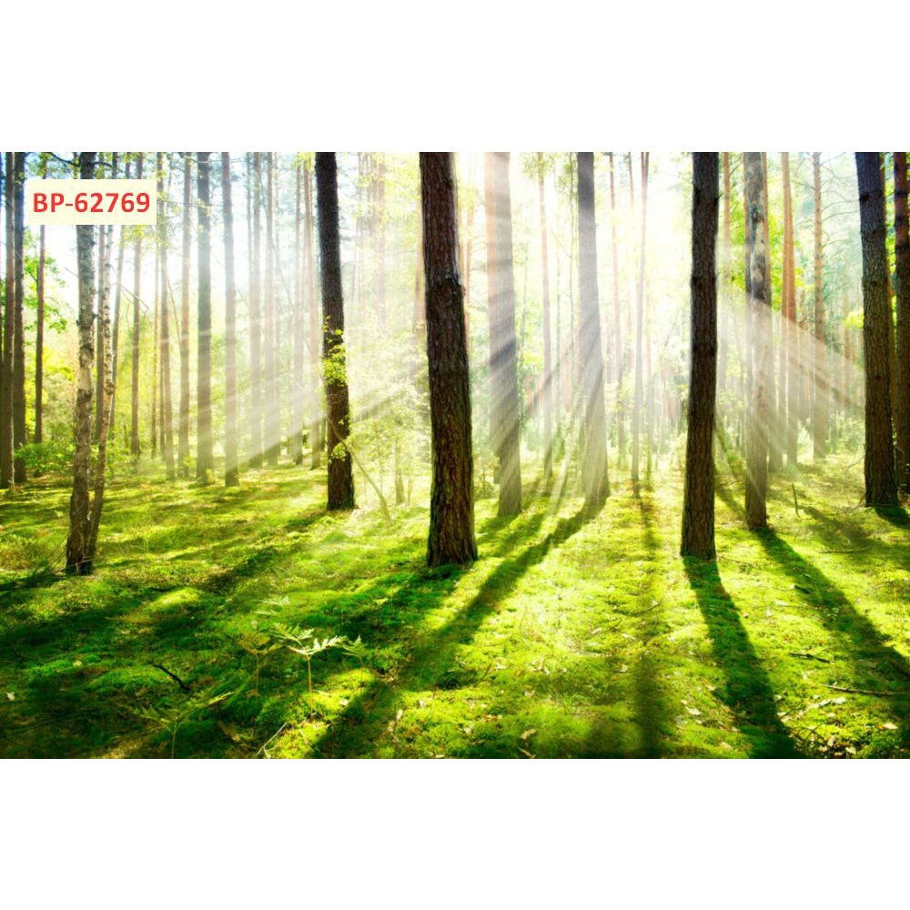 Tranh Dán Tường Cây Lá In 3D Cao Cấp chất lượng cao