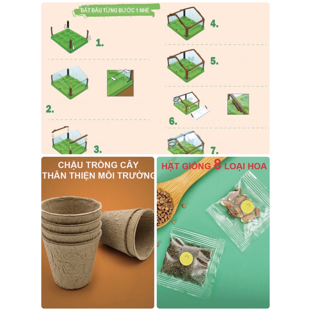 Đồ chơi Trồng cây trong nhà kính mini giúp bé theo dõi sự nảy mầm và phát triển của cây, yêu thiên nhiên hơn