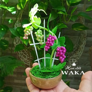 Hoa Đất Sét Mini- Giàn Nho 15cm