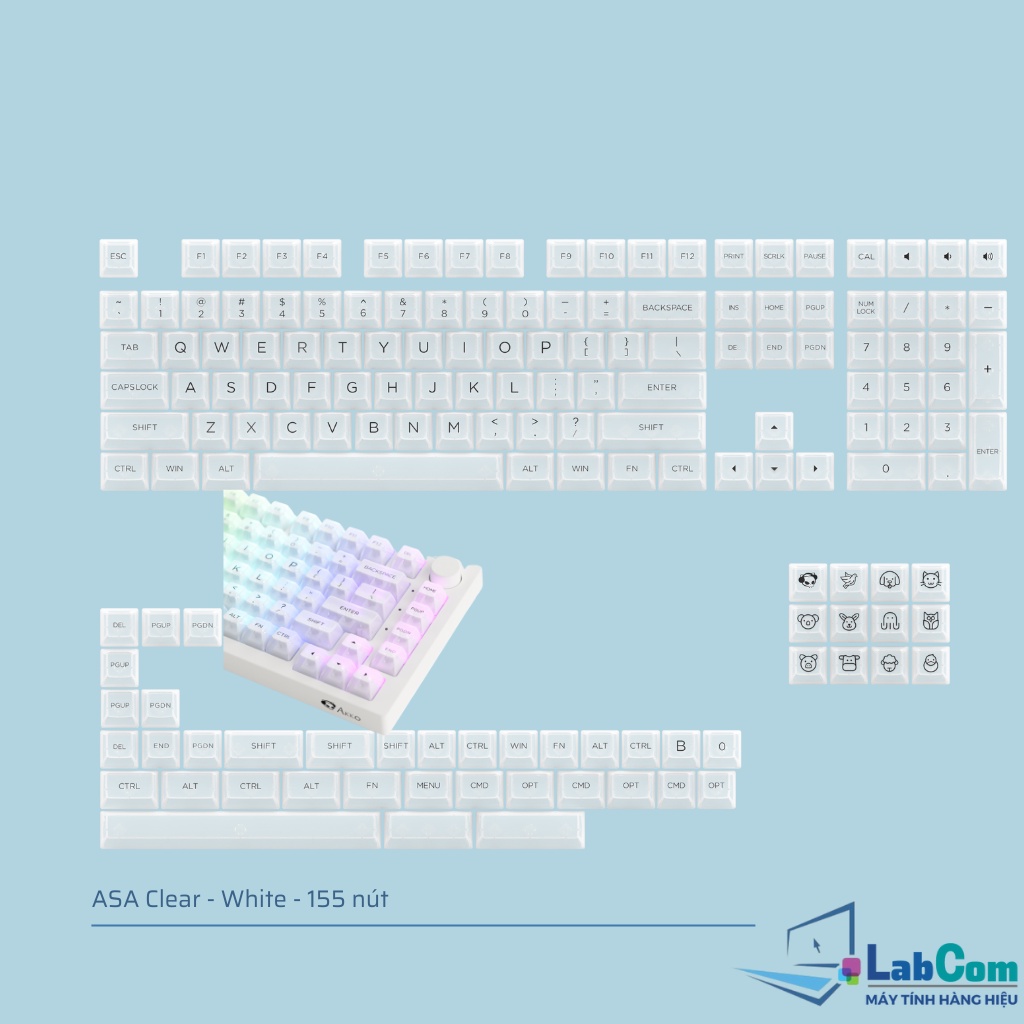 Keycap cho bàn phím cơ AKKO ASA Clear profile xuyên led 155 nút gồm các màu Black | Clear | Pink | Tiffany blue | White