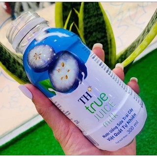 SỮA TRÁI CÂY TH TRUE MILK
