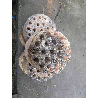 sỉ than tổ ong