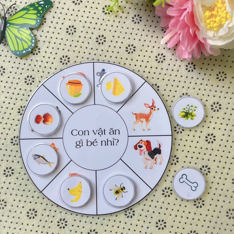 Học liệu Hình tròn tư duy, giúp bé phát triển tư duy logic