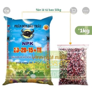 Phân bón Đầu Trâu 20 20 15+TE (1kg)