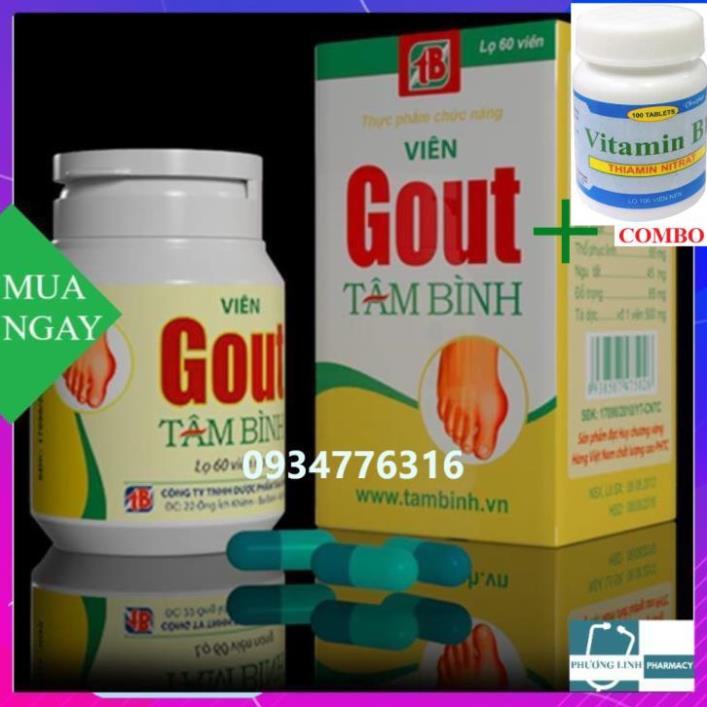 Combo Vitamin B1 chai 100 viên+ Viên GOUT Tâm Bình ( Hộp 60 viên)