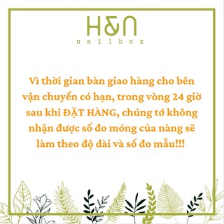 Nailbox (Móng giả) Móng Úp Thiết Kế Cá Tính