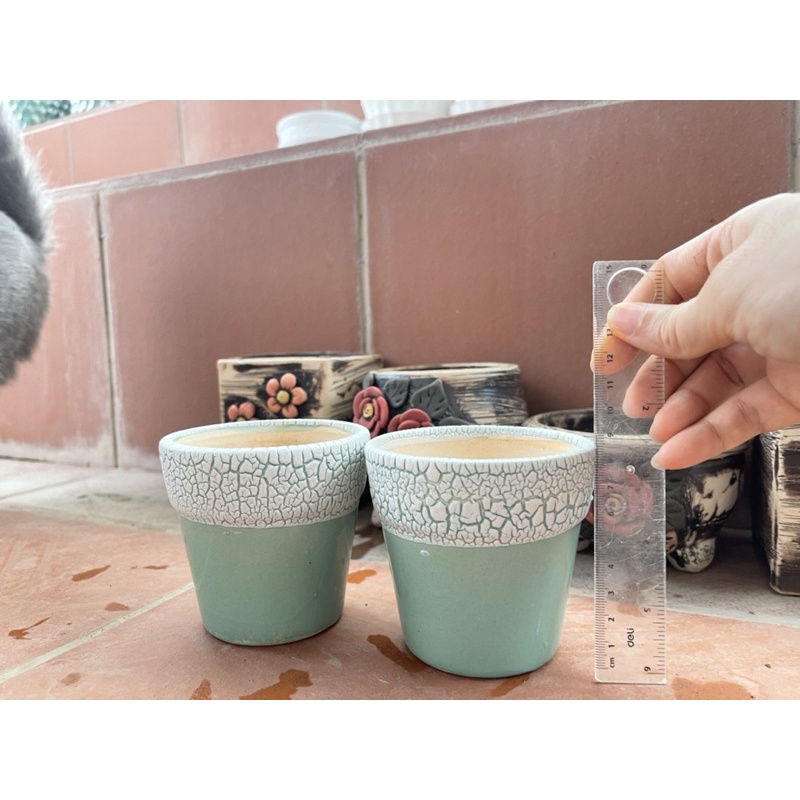 Chậu trồng sen đá