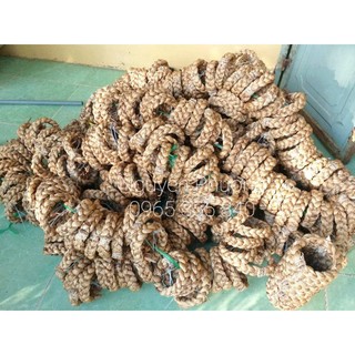 ĐẾ LỤC BÌNH CHƯNG DỪA TẾT TỰ HỦY (giá 1 cái)