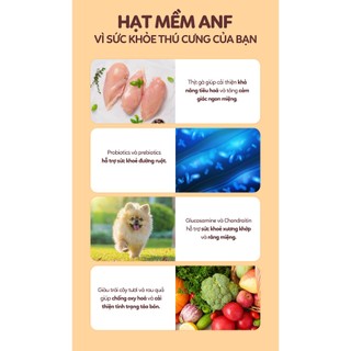 (1.2KG) ANF SOFT  - Thức ăn hạt mềm cho chó mọi lứa tuổi