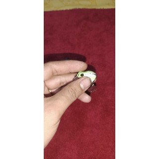 nhái hơi N 3cm lưỡi độ thủ công