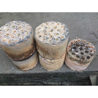 Sỉ than tổ ong