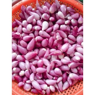 1kg hành tím Lý Sơn
