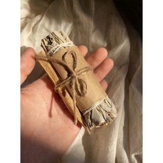 Palo Santo (Gỗ trắc xanh)
