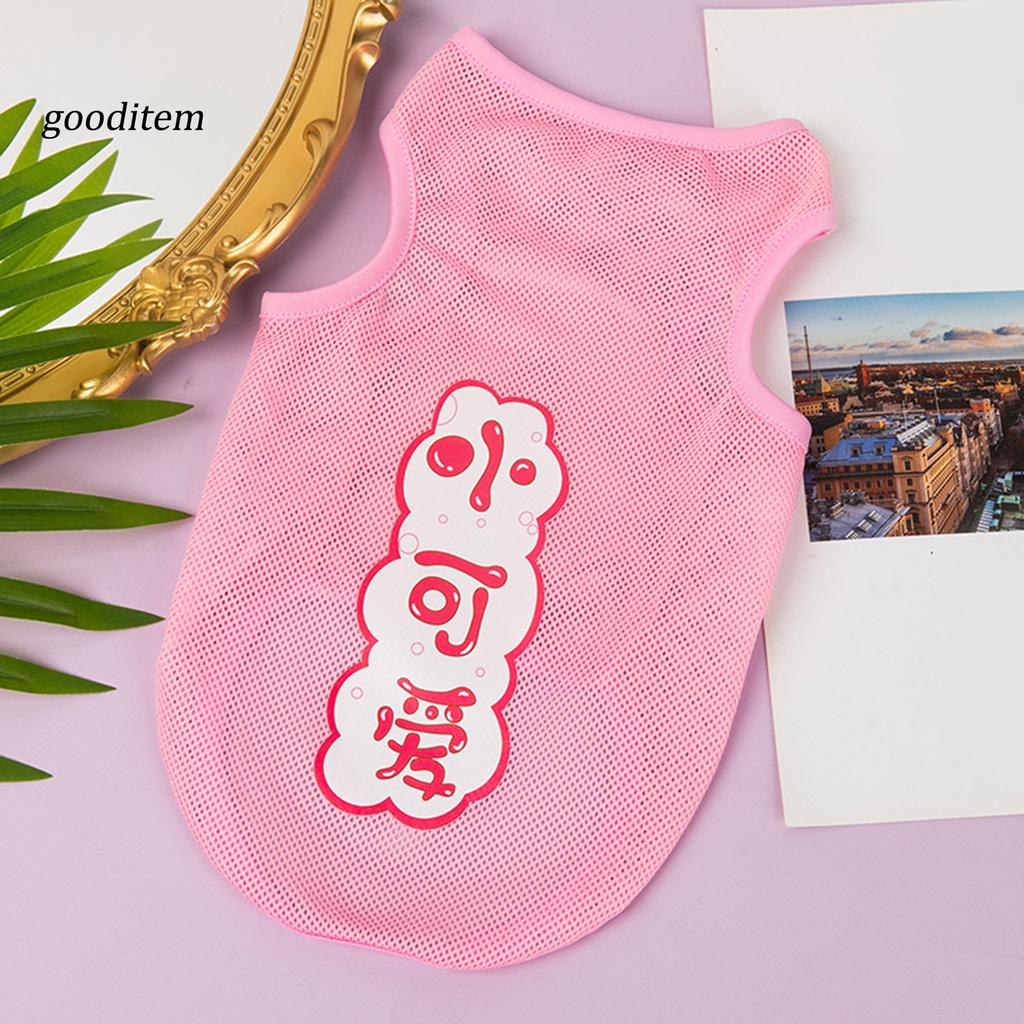 11 Áo Thun In Họa Tiết Hoạt Hình Dễ Thương Dành Cho Thú Cưng