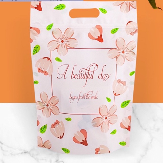 10 túi zip beautiful day 15x23x4cm