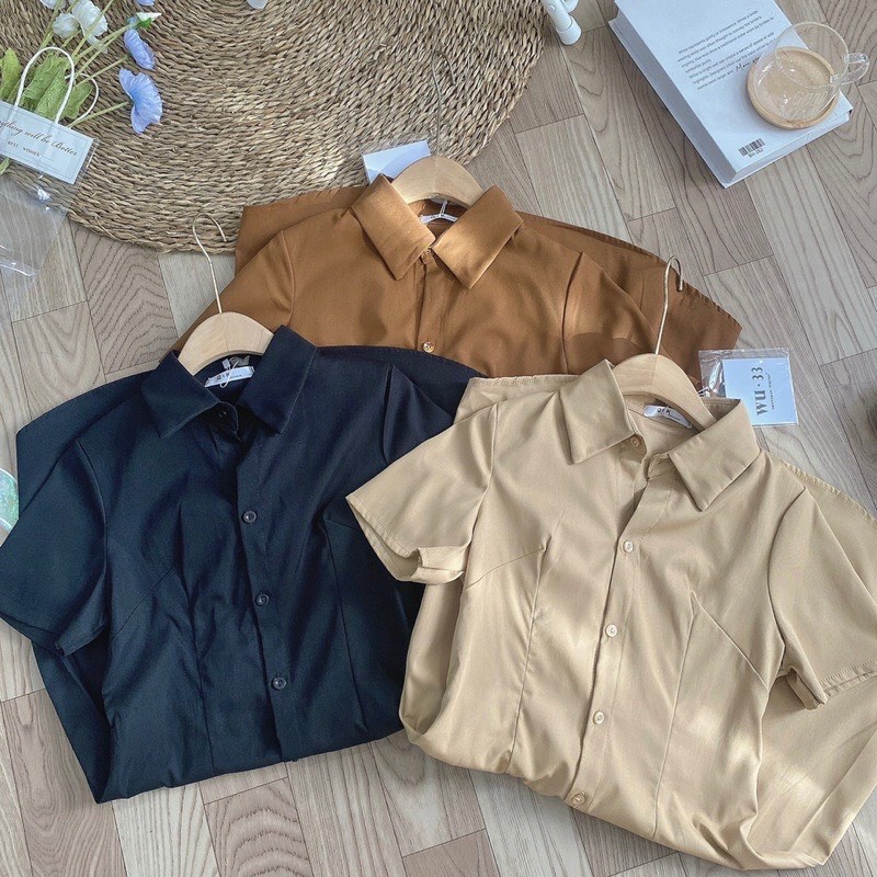 Đầm váy nữ basic Banamo fashion cổ sơ mi cài cúc chiết eo lưng chun, váy nữ cộc tay nhiều màu 5915