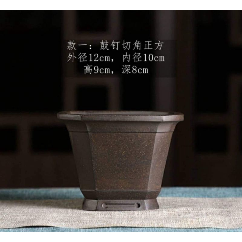 Chậu bonsai Trung Quốc đẹp lạ
