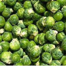 Hạt giống Bắp Cải Tí Hon Xanh Brussels Sprouts 219
