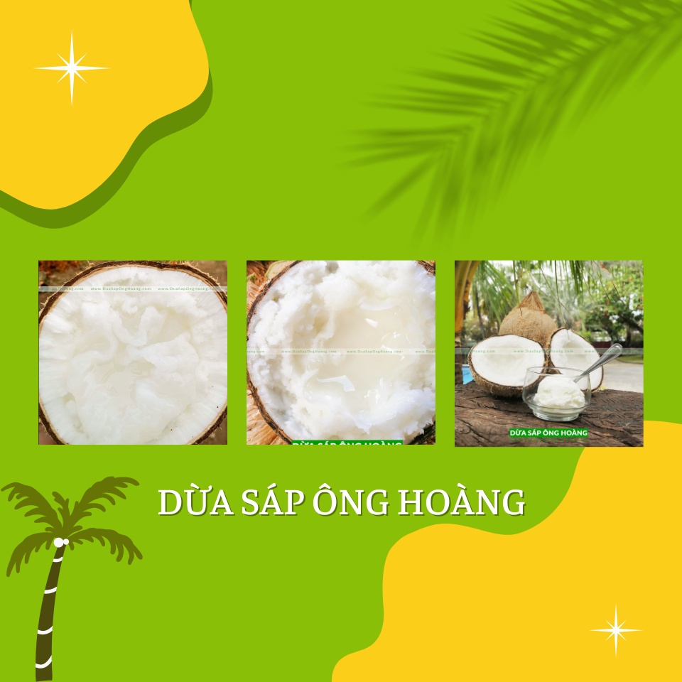 TRÁI DỪA SÁP ÔNG HOÀNG - VUA DỪA SÁP CƠM MỀM ĐẶC RUỘT GIÁ RẺ SỈ LẺ CẦU KÈ TRÀ VINH