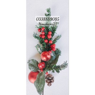 Cành thông phủ tuyết kèm quả CHÂU trang trí noel siêu đẹp
