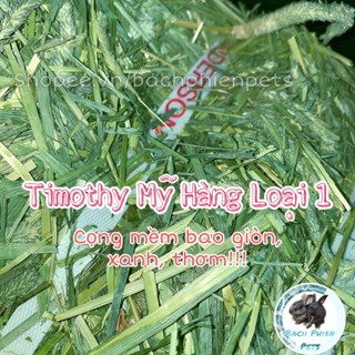 Cỏ Timothy, thức ăn cho thỏ, Guinea Pig ( Bọ ú, Chuột Lang) Chinchilla trên 6 tháng tuổi 500gr........................