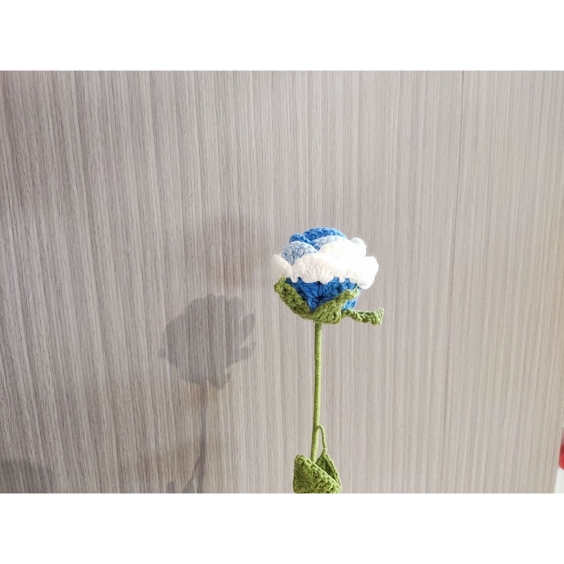 Hoa Hồng Len Màu Gradient Làm Quà Tặng Trang Trí Độc Đáo Sang Chảnh