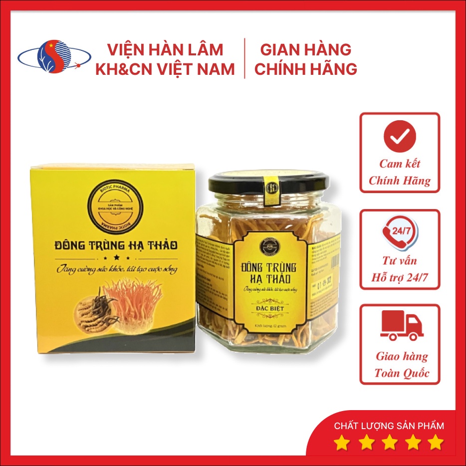 Đông Trùng Hạ Thảo Khô Viện Hàn Lâm KH&CN Việt Nam Tăng Cường Hệ Miễn Dịch, Mẫu Vàng 12g