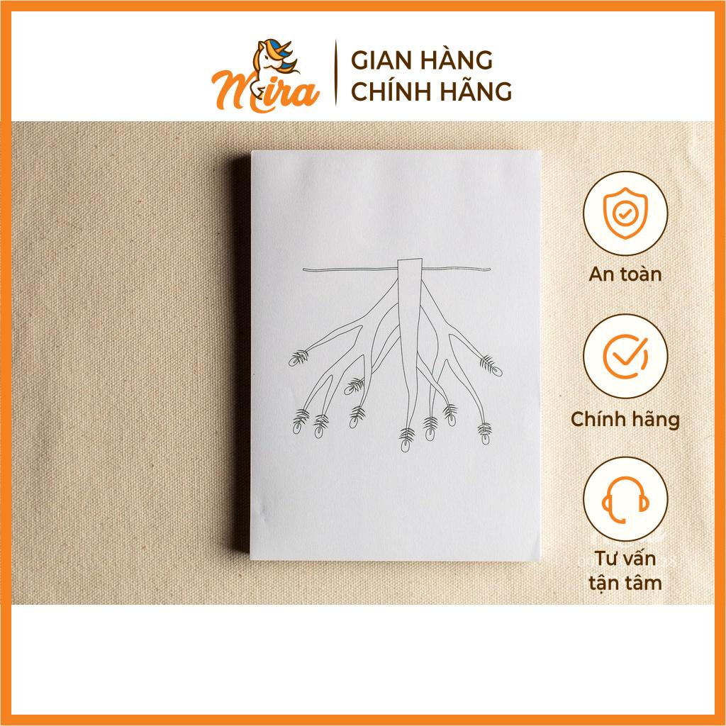 Montessori - Giấy tô các bộ phận của rễ - Theo tủ thực vật không có khay - Mira Toys