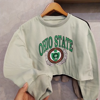 Image of Sweater Crop Wanita OHIO STATE FLeece (LD 110, P 42)