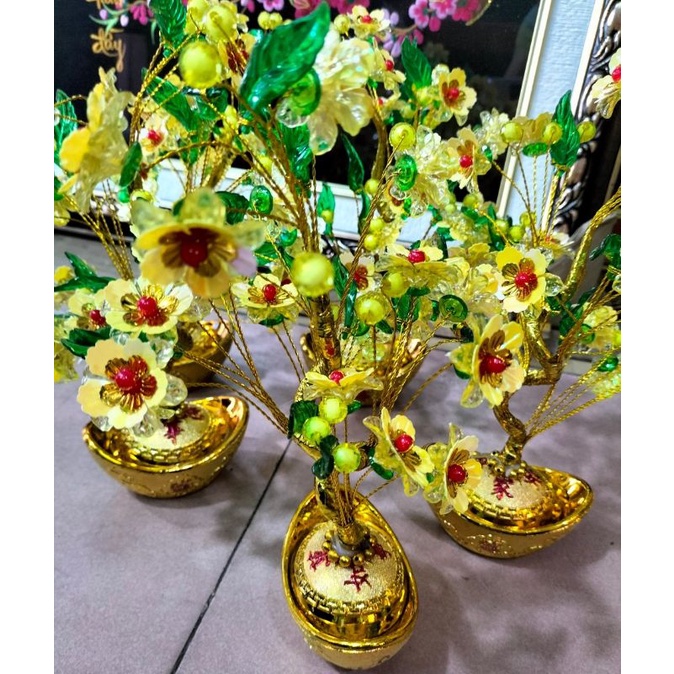 Sỉ 10 gốc sen, gốc thỏi vàng làm cây tài lộc, cây cành vàng lá ngọc Thuylamshop