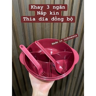 BỘ HỘP ĐỰNG CƠM (KÈM TÚI) TUPPERWARE VIỆT