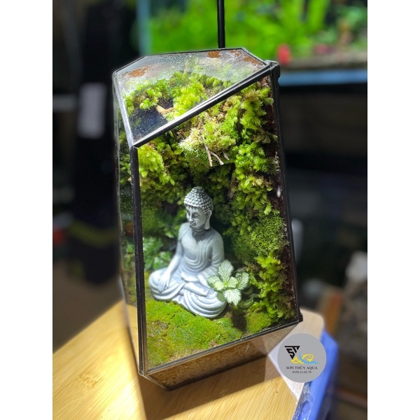 Bình Terranium setup sẵn thực vật