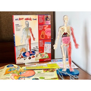 Mô hình giải phẫu cơ thể người Squishy Human Body SmartLab Toys